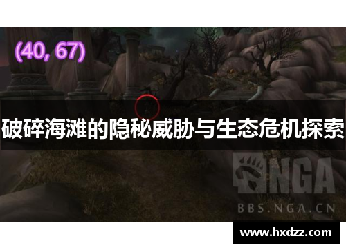 破碎海滩的隐秘威胁与生态危机探索